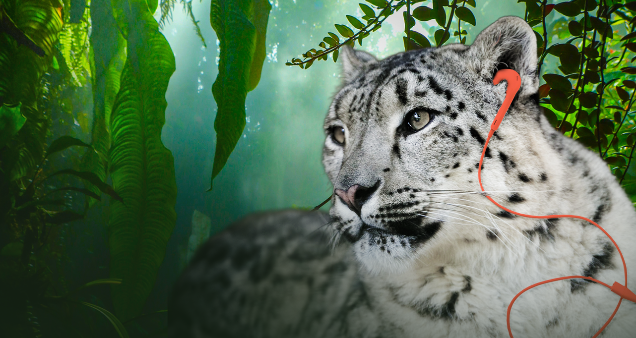 nature unheard 1282x682