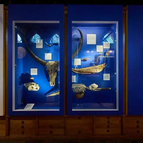 Fair Water? Exhibition OUMNH by Ian Wallman