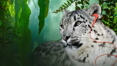 nature unheard 1282x682